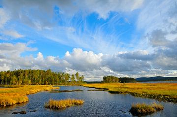Herfst in Värmlands län van Karin Jähne