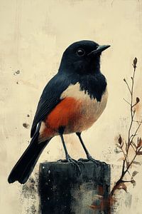 Zeitlos eleganter Vogel mit dunklem Gefieder und orangefarbenem Bauch