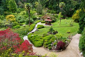 Japanse tuin in Powerscourt Gardens van Eddo Kloosterman