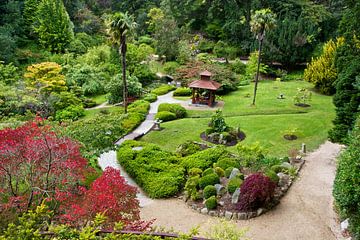 Japanse tuin in Powerscourt Gardens