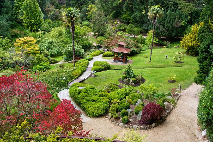 Japanese garden in Powerscourt Gardens by Eddo Kloosterman