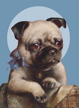 the Pug van Marja van den Hurk
