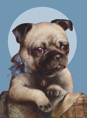 the Pug sur Marja van den Hurk