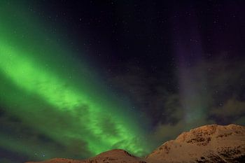 Nordlicht am Balsfjord, Norwegen