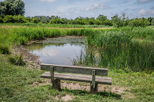 Eine Oase der Ruhe im „Nieuwe Biesbosch“ von Dordrecht