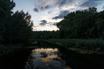 Der Biesbosch am Abend