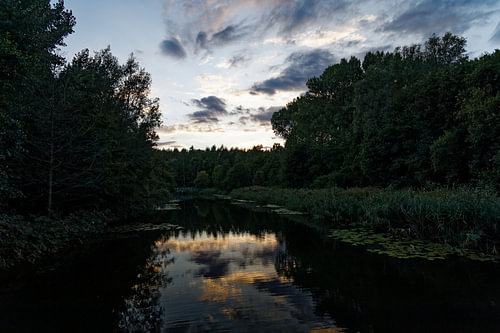 Der Biesbosch am Abend