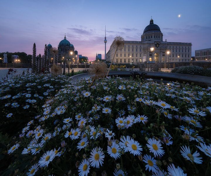Forum Humboldt de Berlin par Patrick Noack