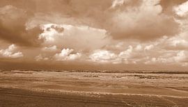 Strand von Texel in Sepia von Jose Lok