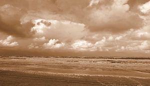 Strand von Texel in Sepia