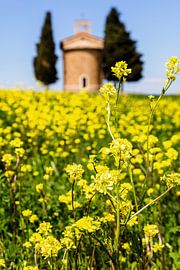 Cappella della Madonna di Vitaleta von Dirk Rüter