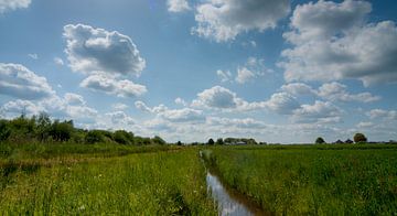 boerensloot in hollands graslandschap van mick agterberg