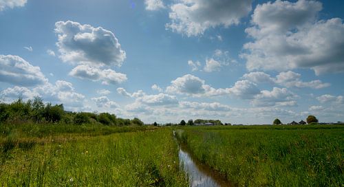 boerensloot in hollands graslandschap