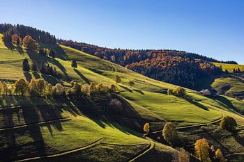 Münstertal im Schwarzwald