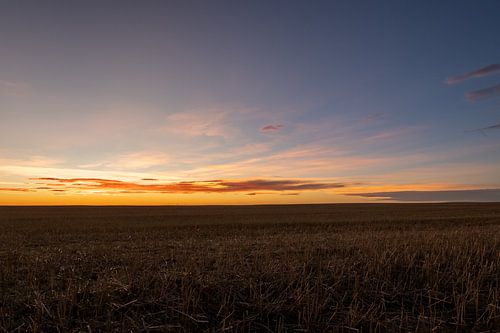 Coucher de soleil sur des champs de céréales récoltés en Alberta - paysage agricole chaud