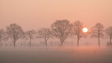 Zonsopkomst / Sunset van Elles Rijsdijk