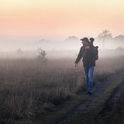 Bram de Jong Profilfoto