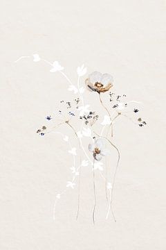 Ethereal Flowers With Subtle Hues by Monika Strigel