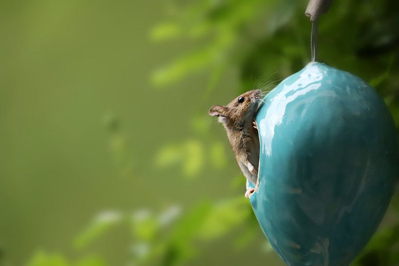 Eduardo's zondagse uitstapje van Heike Hultsch