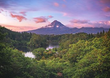 New Zealand Lake Mangamahoe with Mount Taranaki by Jean Claude Castor