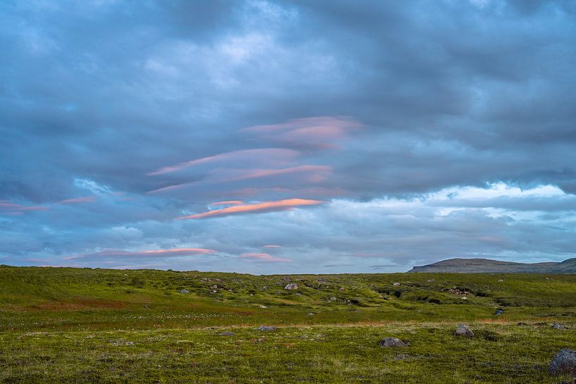 Colonnes de basalte colorées en orange par de l'oxyde de fer, Studlagil Canyon, Egilsstadir, Austurland, Iceland par Thilo Wagner
