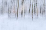 Winter forest van Christl Deckx thumbnail