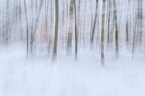 Winterwald