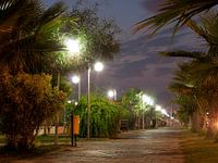 Boulevard bij nacht