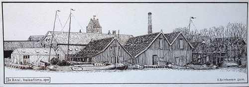 The Bay Halbertsma Grouw 1900