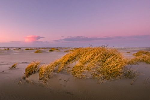 Avondsfeer op Texel