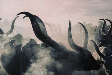 Mundaris cow by Svetlin Yosifov