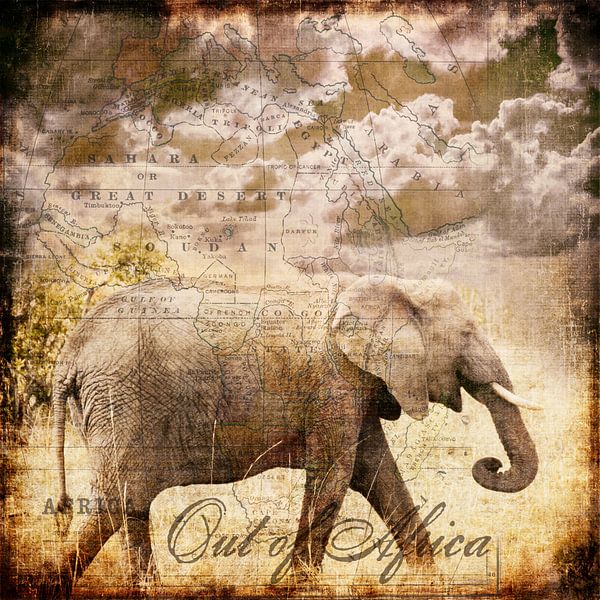 Out of Africa by Andrea Haase