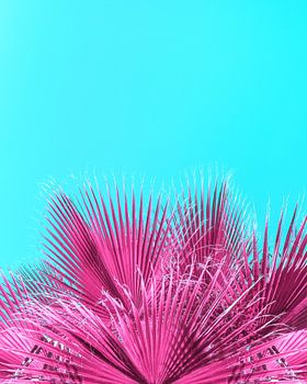 Elektrisch pinkfarbene Palmwedel