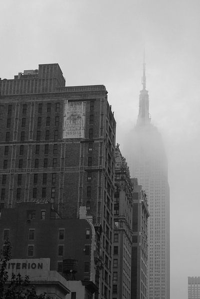 New York in het oog van de storm van Cathy Janssens