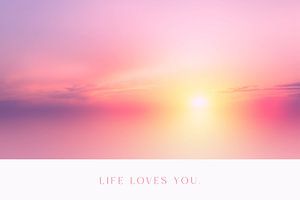 Life Loves You