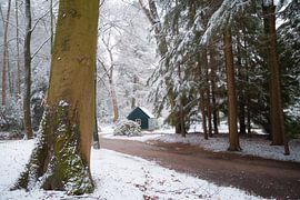 Winterszenen in Kroondomein het Loo für ein paar Stunden. wir waren gerade dabei, unsere Sachen zu packen, als es zu regnen begann. das war ein schöner kurzer Wintermorgen!!!