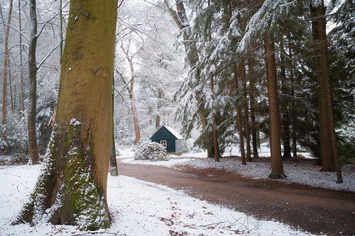 Winterse taferelen in Kroondomein het Loo voor een aantal uurtjes. we wilden net onze spullen pakken toen het begon te regenen. dat was een mooie winterse korte ochtend!!