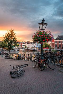 Leiden - Cycling against lamppost on Aalmarkt (0120) by Reezyard