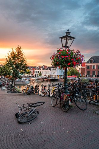 Leiden - Cycling against lamppost on Aalmarkt (0120)