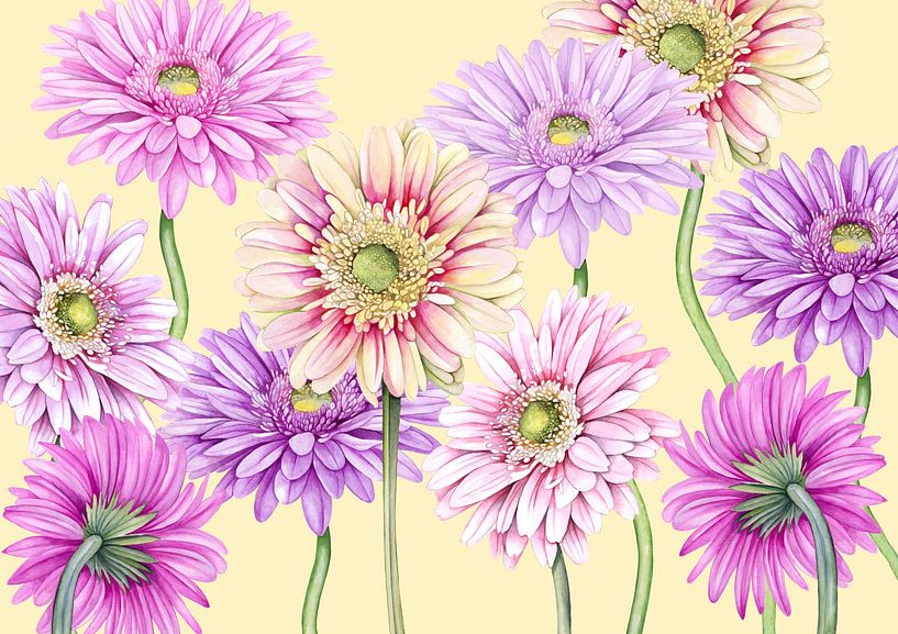 Gerberas à fleurs par Geertje Burgers