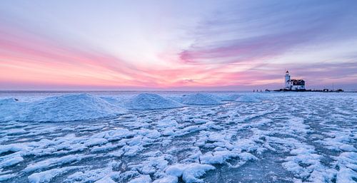 Het paard van Marken - winter ijs