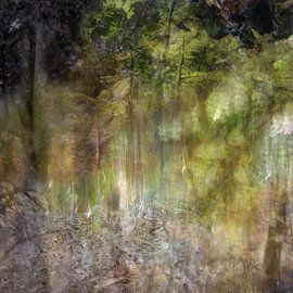 Verdwaald von Hiske Kamminga