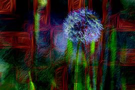 ABSTRACT : FLORA by Photoart-Naegele