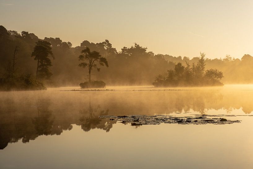 Golden reflection in Brabant nature by Johannes Nouwens