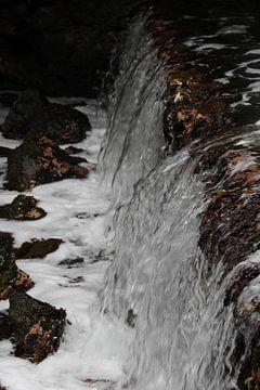 Verborgen Kracht aan de Waterlijn