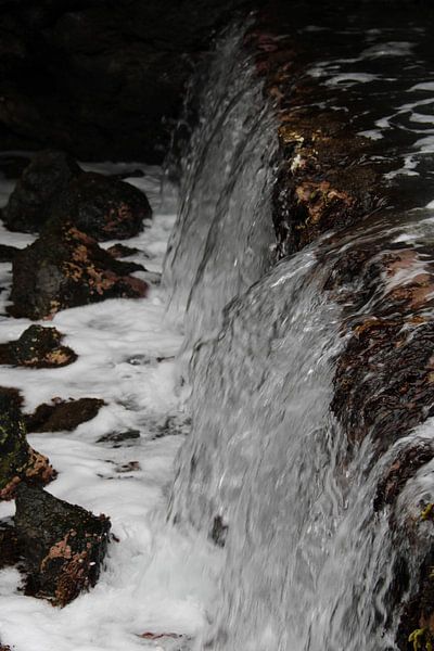 Verborgene Kraft an der Wasserlinie von Foto Moments by M. J. Leenders