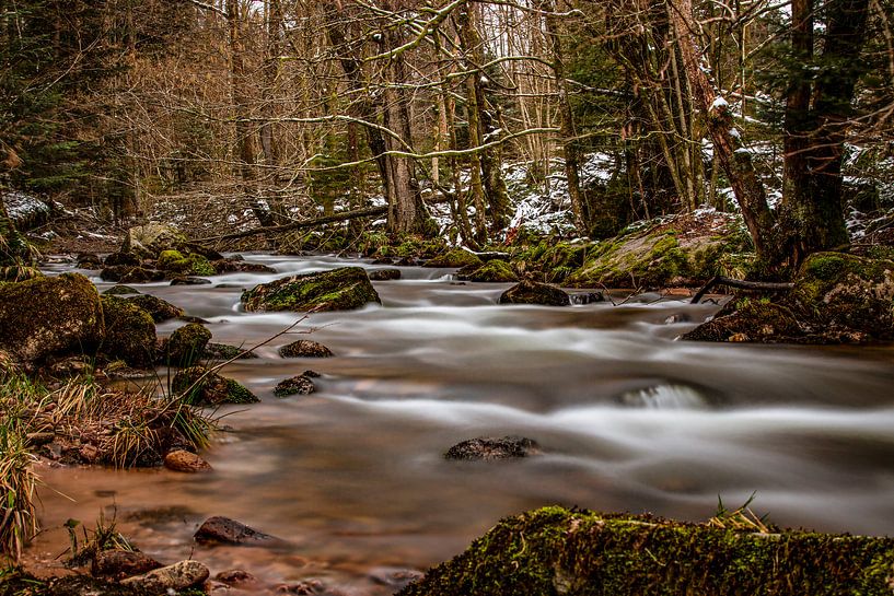Boskreek van Thomas Heitz