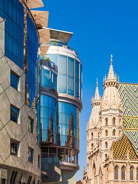 Haas House and St. Stephen's Cathedral in Vienna by Werner Dieterich