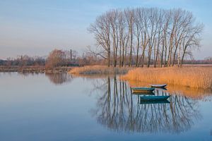 Nijmegen Ooijpolder, Stillleben mit Booten