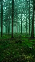 Green moss
